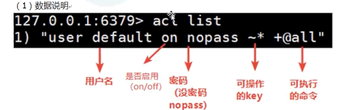 image-20220522100442638